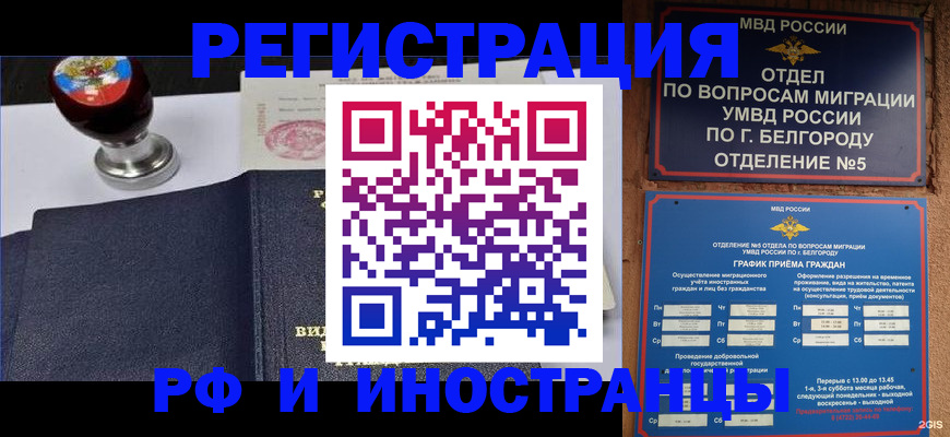 временная регистрация поиск в Кингисеппе